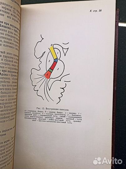 Руководство к практическим занятиям по невропатоло