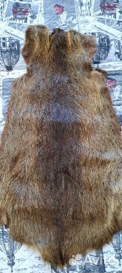 Шкурки нутрии