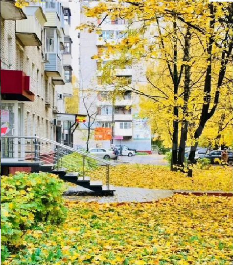 Помещение с габ 47м²