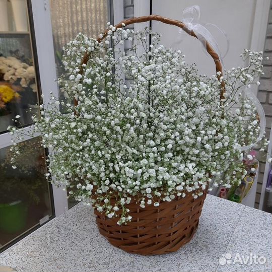 Гигантский Букет из Гипсофил Доставка