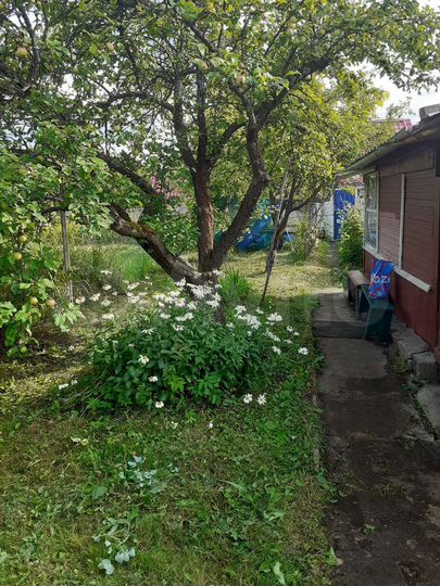 Дача 17 м² на участке 6,3 сот.