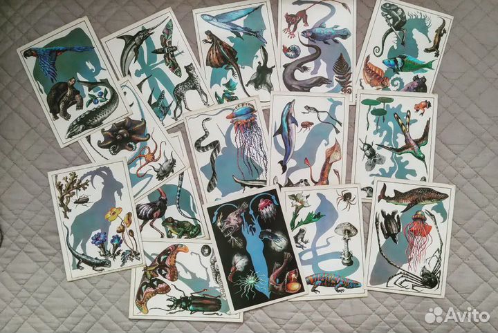 Старинные и винтажные открытки