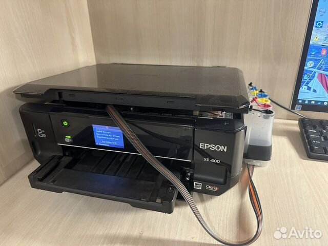 Принтер epson xp600