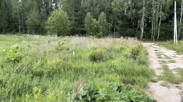 Участок 14,3 сот. (ИЖС)