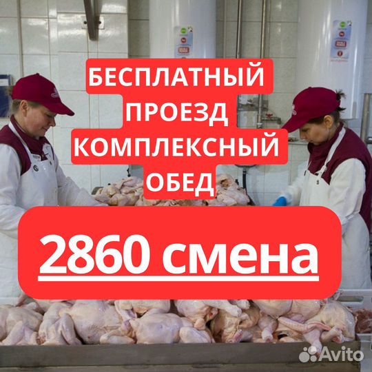 Вахта Пенза разнорабочий выезд из Димитровграда