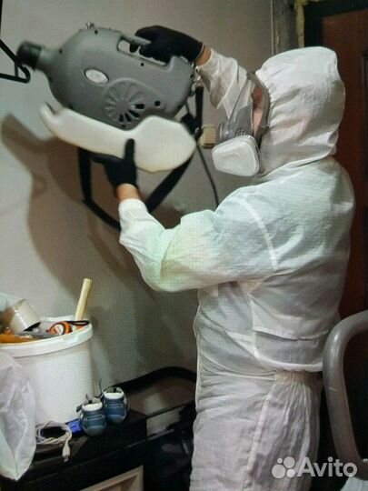 Уничтожение клопов, тараканов, муравьёв, блох