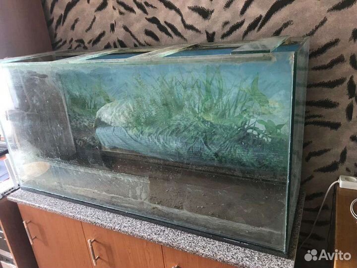 Аквариум 300л