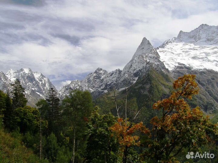 Туры в Домбай и Архыз
