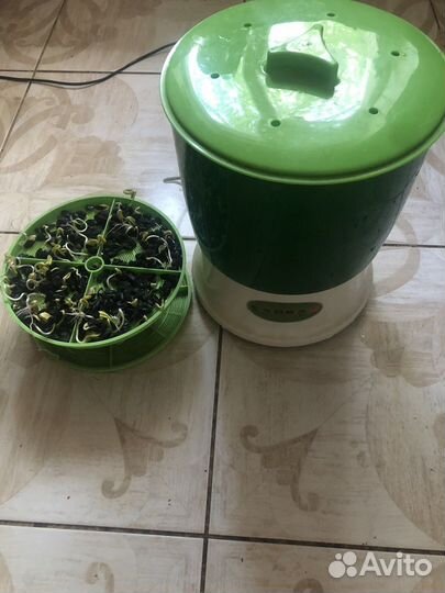 Проращиватель ростков, вода раз 15 минут