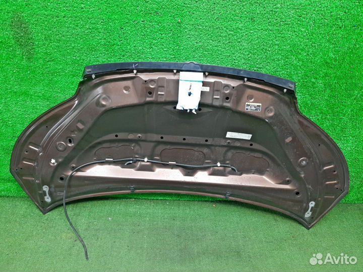 Капот toyota spade NCP141 2013 (54746) контрактная