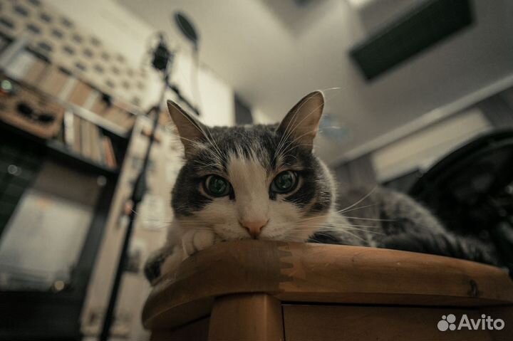 Запись в студии