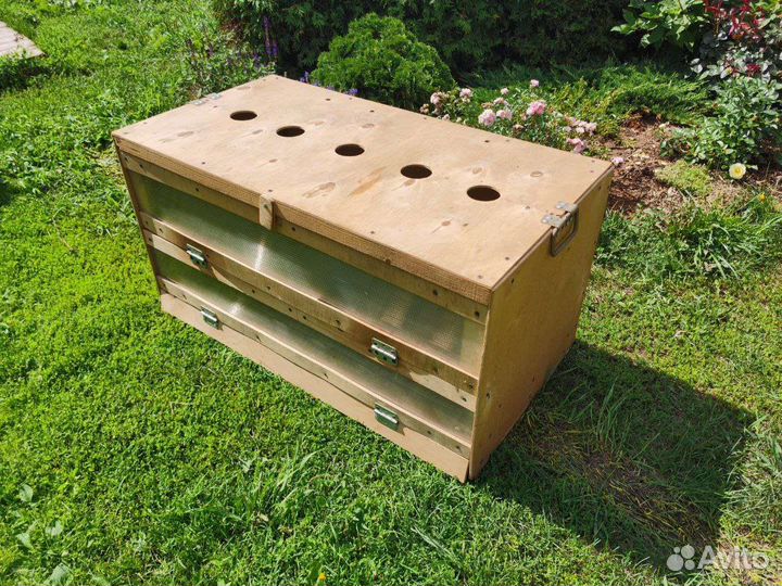 Брудер для цыплят