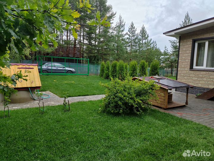 Рулонный газон элит