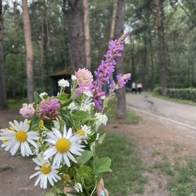 Вещи пакетом