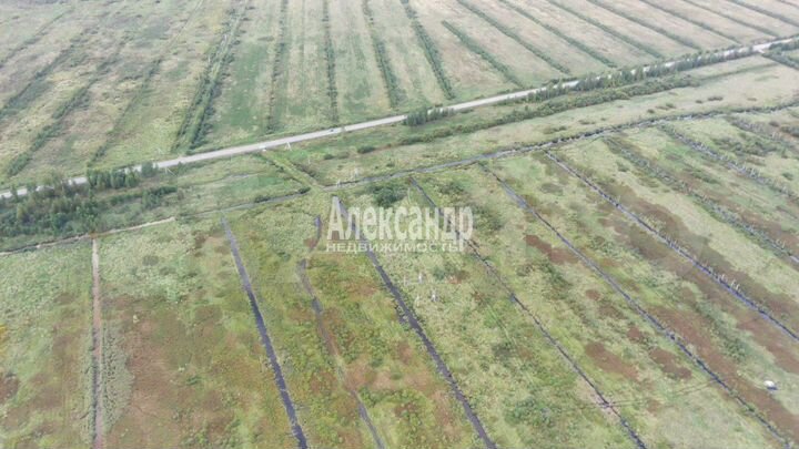 Участок 3,1 га (промназначения)