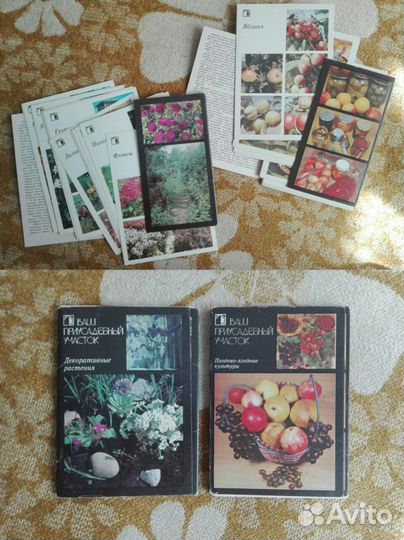 Растениеводство, пчеловодство и др. СССР 60-90е