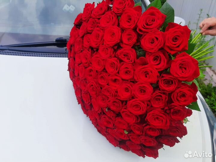 Свежие розы 