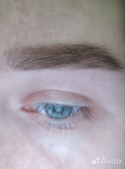 Мастер бровист