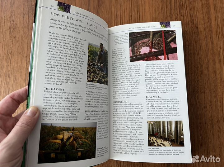 Справочник Eyewitness French Wines