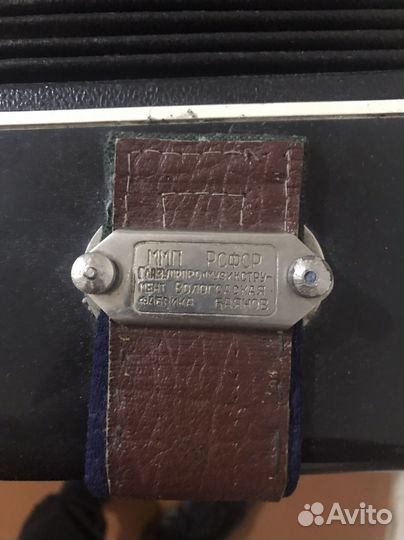 Баян волгоградский