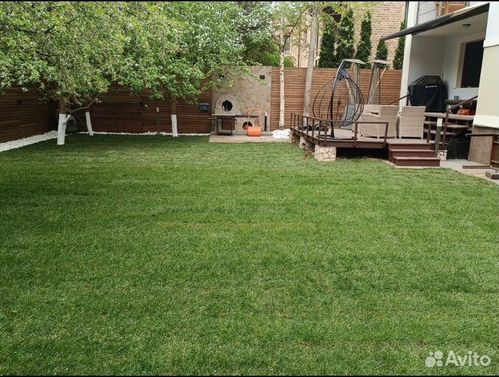 Рулонный газон от производителя