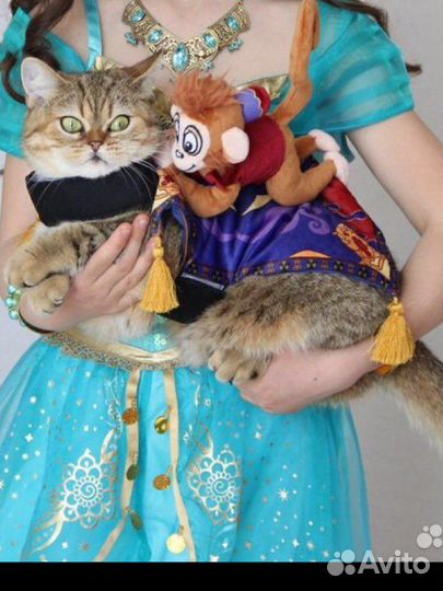 Одежда для средних собак