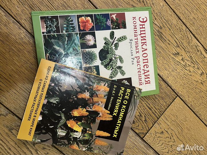 Энциклопедия о комнатных растениях