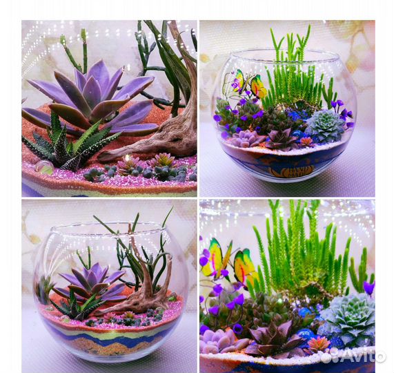 Флорариум подарочный премиум