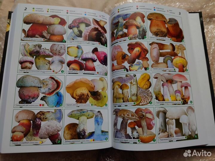 Энциклопедия