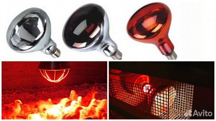 Инфракрасная лампа для цыплят и животных