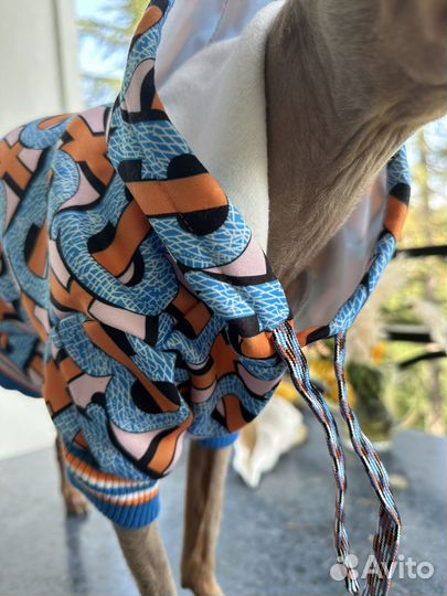 Burberry одежда для собаки, кошки. Худи, толстовка