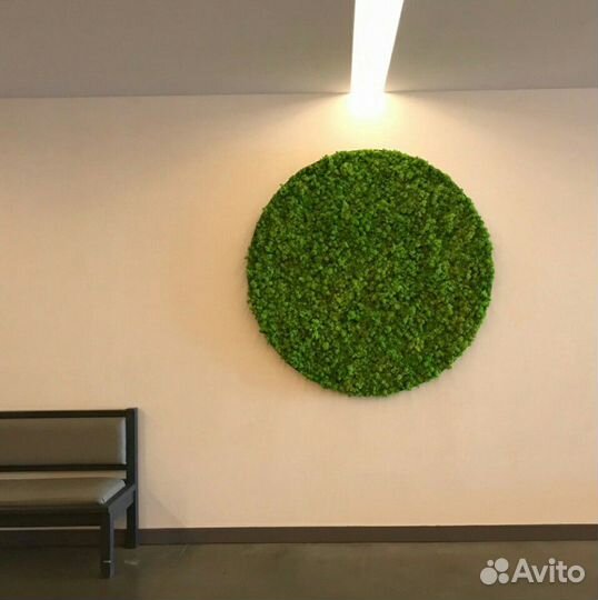 Декор панно, мох, круги