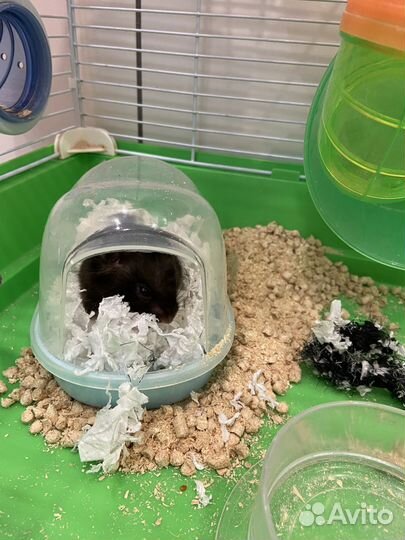 Клетка для грызунов