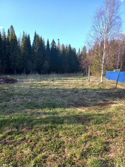 Участок 10 сот. (СНТ, ДНП)