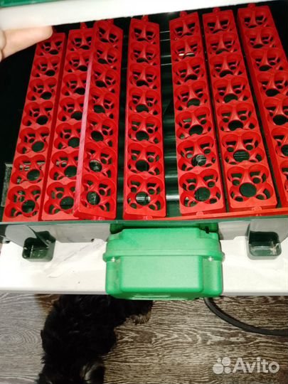 Инкубатор River (Италия)