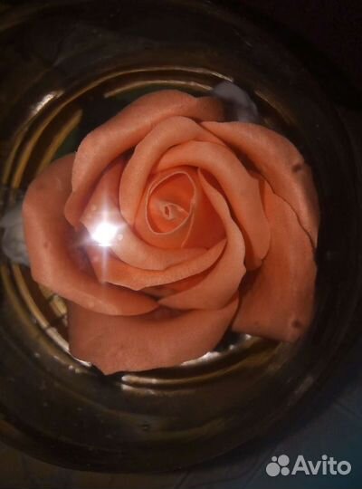 Мыльные розы в куполе