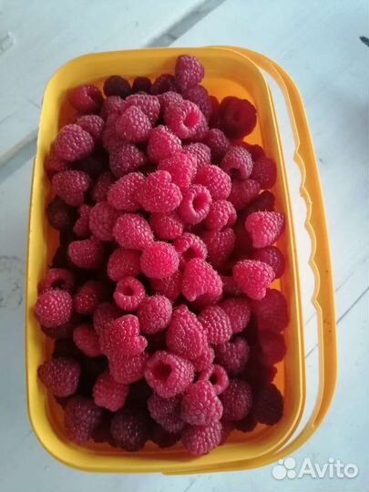 Продажа малина ягода