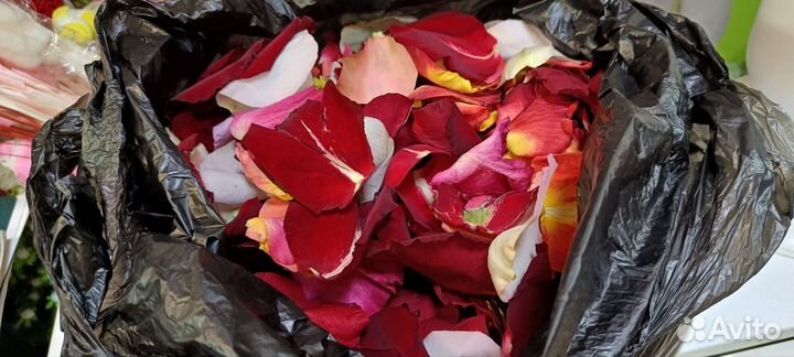 Лепестки роз