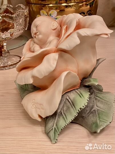 Младенец в розе