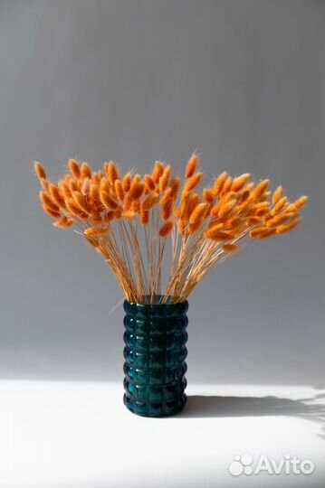 Сухоцветы лагурус