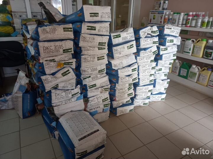 Семена подсолнечника и кукурузы