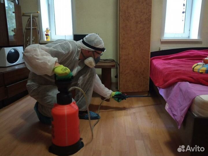 Дезинфекция Уничтожение тараканов клопов