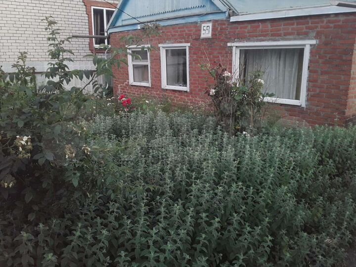 Дом 54 м² на участке 17 сот.