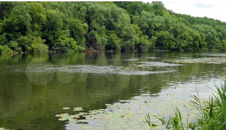 Участок 7,5 сот. (ИЖС)