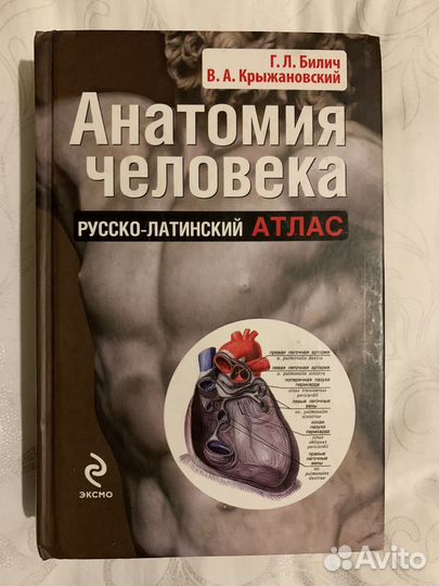 Анатомия человека