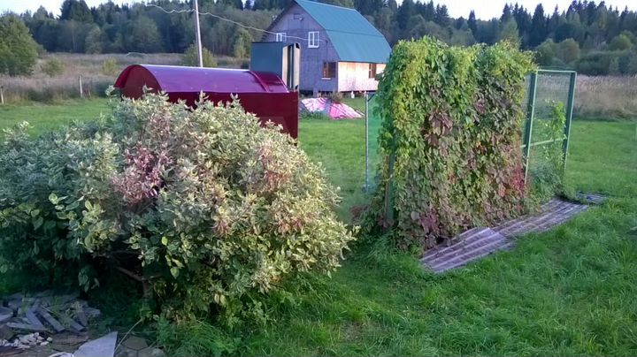 Дом 36 м² на участке 43 сот.