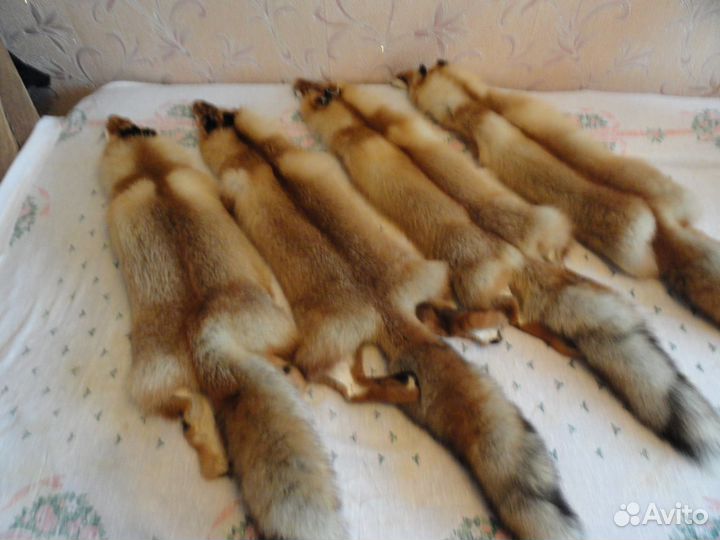 Мех лисы и енота