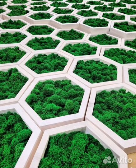 Полки со мхом/ декорация настенная