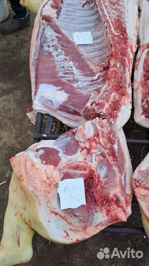 Мясо свинина домашняя