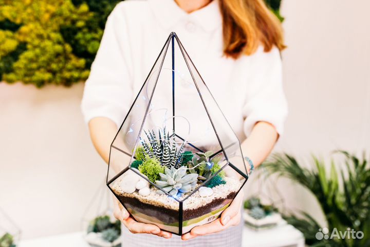 Флорариум с суккулентами